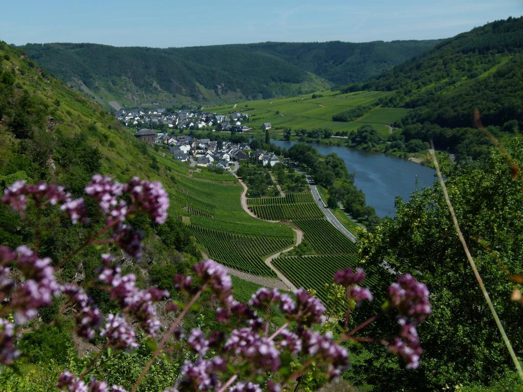 Ferienweingut Rudorfer Hotel Valwig Exterior photo